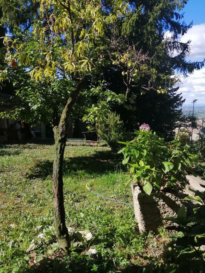 Orto Di Emma Apartment San Gimignano Luaran gambar